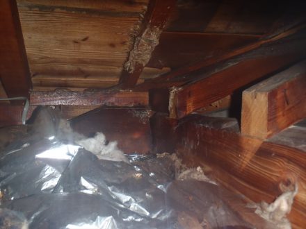 川西市・個人宅の蜂の巣駆除の事例　の処理後写真（拡大）