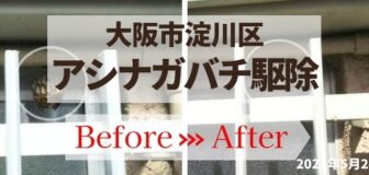 大阪市淀川区・個人宅のアシナガバチ駆除の事例　の駆除