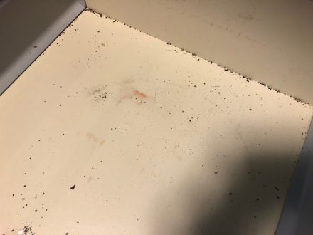 京都市下京区・個人宅のゴキブリ駆除の事例の処理前写真(2)