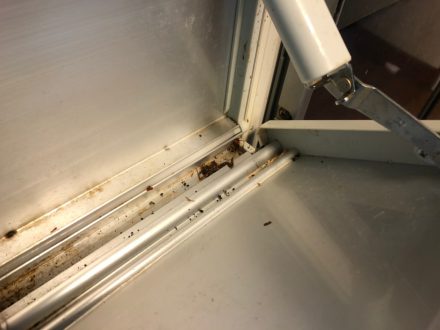 京都市下京区・個人宅のゴキブリ駆除の事例の処理前写真（拡大）