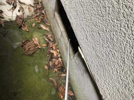 京都市下京区・個人宅のゴキブリ駆除の事例の処理後写真(2)