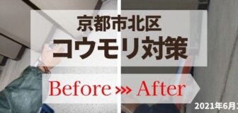 京都市北区・某学校のコウモリ駆除の事例　の駆除