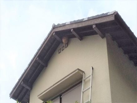 京田辺市・個人宅のスズメバチ駆除の事例　の処理前写真(1)