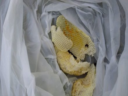 南丹市・個人宅のミツバチ駆除の事例の処理後写真(2)