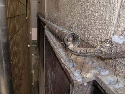 京都市左京区・マンションの鳩糞清掃とスパイク設置の事例　の処理後写真(1)