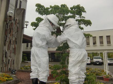 大阪市東住吉区・施設のミツバチ駆除の事例の処理前写真(2)
