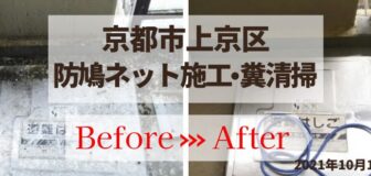 京都市上京区・マンション（個人宅）の防鳩ネット施工と消毒の事例　の駆除