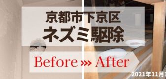 京都市下京区・個人宅のネズミ駆除の事例の駆除