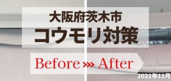 大阪府茨木市・個人宅のコウモリ駆除と侵入口封鎖工事の事例の駆除