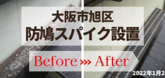 大阪市旭区・個人宅の防鳩スパイク設置の事例　の駆除