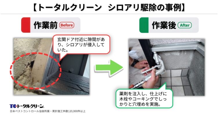 大阪市大正区ヤマトシロアリ駆除の事例