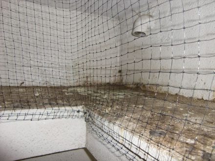 堺市東区・施設の鳩の死骸撤去の事例の処理後写真（拡大）