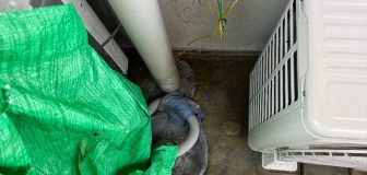 堺市中区・マンション（個人宅）の鳩糞清掃と防鳩施工の事例の駆除処理後