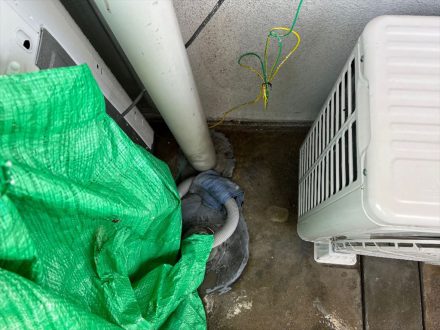 堺市中区・マンション（個人宅）の鳩糞清掃と防鳩施工の事例の処理後写真(1)