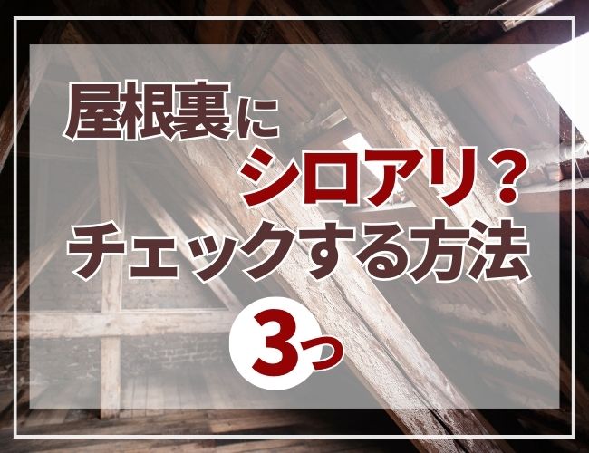 屋根裏のシロアリをチェックする方法