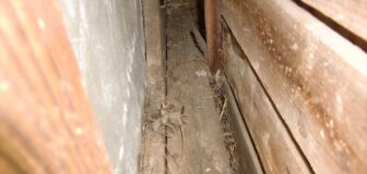 芦屋市・個人宅のヘビ駆除の事例の写真