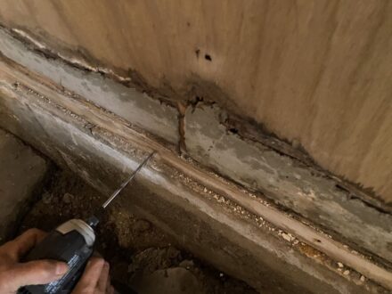 寝屋川市・空き家戸建 改装工事中のシロアリ防除の事例　の処理前写真(3)