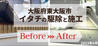 東大阪市・会社倉庫のイタチ駆除の事例の駆除