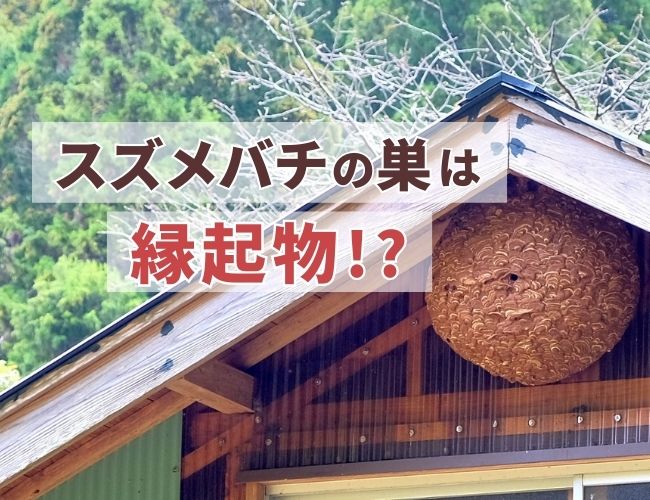 驚きの真実！】スズメバチの巣が縁起物でありながら需要が低迷する理由  