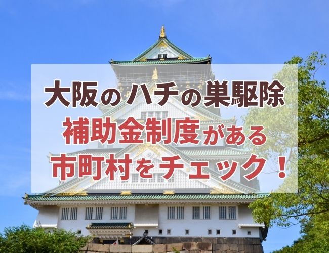 ⚠️近日処分】特大 スズメバチの巣 特注ガラスケース入り 希少 縁起物 