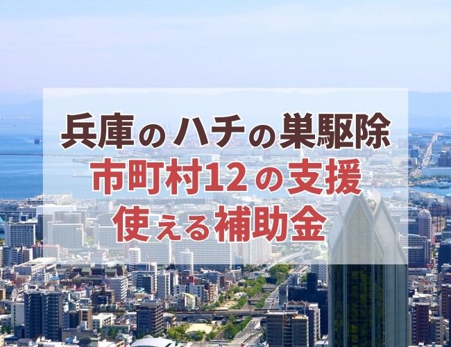 ⚠️近日処分】特大 スズメバチの巣 特注ガラスケース入り 希少 縁起物 