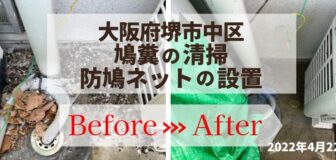 堺市中区・マンション（個人宅）の鳩糞清掃と防鳩施工の事例の駆除