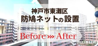 神戸市東灘区のマンション（個人宅）の防鳩ネット設置の事例　の駆除