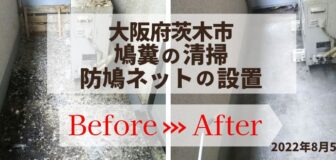 茨木市・アパートの鳩糞清掃・防鳩ネット施工の事例　の駆除