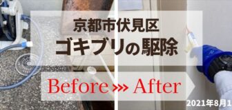 京都市伏見区・店舗のゴキブリ定期防除の事例の駆除