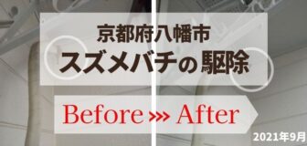 八幡市・個人宅のスズメバチ駆除の事例　の駆除