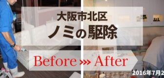 大阪市北区・飲食店のノミ駆除の事例の駆除