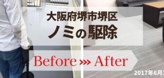 堺市堺区・会社事務所のノミ防除の事例の駆除