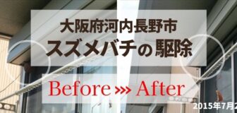 河内長野市・個人宅のスズメバチ駆除の事例の駆除