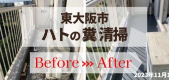 東大阪市・マンション（個人宅）の鳩糞清掃の事例の駆除