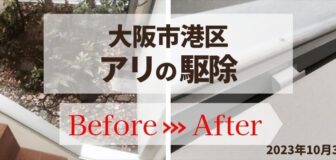 大阪市港区・個人宅のアリ駆除の事例　の駆除
