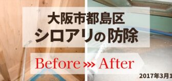 大阪市都島区・個人宅のシロアリ防除の事例の駆除