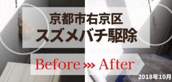 京都市右京区・個人宅のスズメバチ駆除の事例の駆除