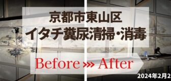 京都市東山区・個人宅のイタチの糞尿清掃・消毒の事例の駆除