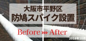 大阪市平野区・ビルの防鳩スパイク設置の事例　の駆除