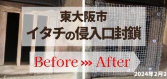 東大阪市・個人宅のイタチの侵入口封鎖工事の事例の駆除