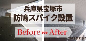 宝塚市・個人宅の防鳩ネット施工とスパイク設置の事例　の駆除