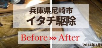 尼崎市・個人宅のイタチの糞撤去・消毒・断熱材交換の事例の駆除