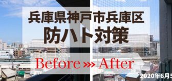 神戸市兵庫区・マンション（個人宅）の防鳩ネット施工の事例　の駆除
