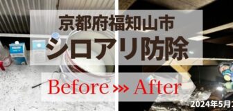 京都府福知山市・個人宅のシロアリ防除の事例の駆除