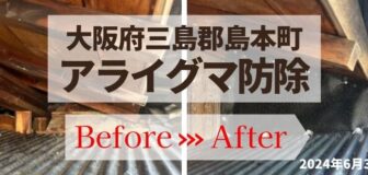 大阪府三島郡島本町・個人宅戸建  アライグマ侵入防止対策の事例の駆除