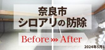 奈良県奈良市・戸建5年更新時のシロアリ防除の事例の駆除