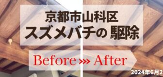 京都市山科区・玄関軒下のスズメバチ駆除の事例の駆除