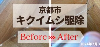 京都市木くず発生…シロアリ？個人宅のキクイムシ駆除の事例の駆除