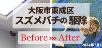 大阪市東成区・戸建２階軒下のスズメバチ駆除の事例の駆除