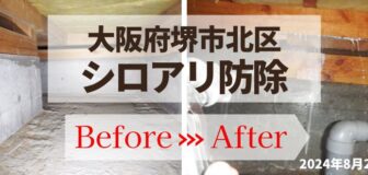 堺市北区・戸建　シロアリ点検とシロアリ予防工事の事例の駆除